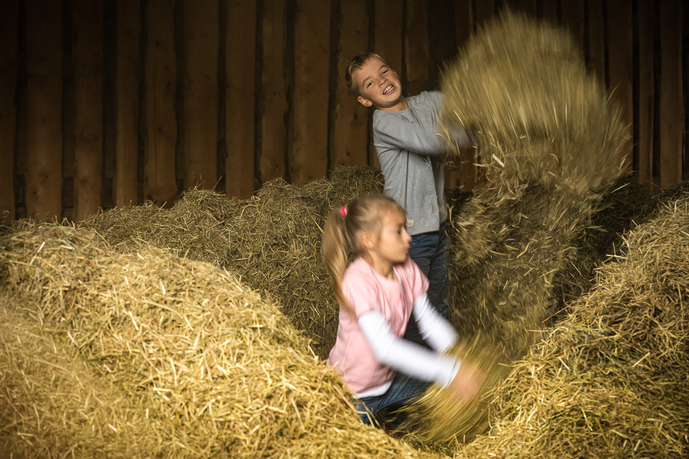 Platz 8 Anton Kienle